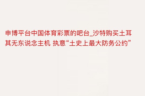 申博平台中国体育彩票的吧台_沙特购买土耳其无东说念主机 执意“土史上最大防务公约”