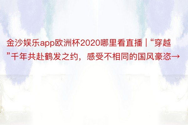 金沙娱乐app欧洲杯2020哪里看直播 | “穿越”千年共赴鹤发之约，感受不相同的国风豪恣→