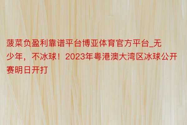 菠菜负盈利靠谱平台博亚体育官方平台_无少年，不冰球！2023年粤港澳大湾区冰球公开赛明日开打