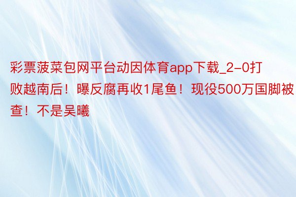 彩票菠菜包网平台动因体育app下载_2-0打败越南后!曝反腐再收1尾鱼!现役500万国脚被查!不是吴曦